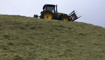 walling-contracting-services-gallery-silage-2