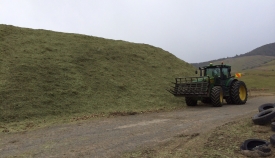 walling-contracting-services-gallery-silage-3