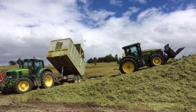 walling-contracting-services-gallery-silage-5
