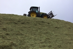 walling-contracting-services-gallery-silage-2