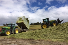 walling-contracting-services-gallery-silage-5
