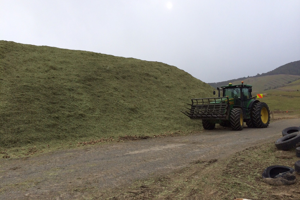 walling-contracting-services-gallery-silage-3