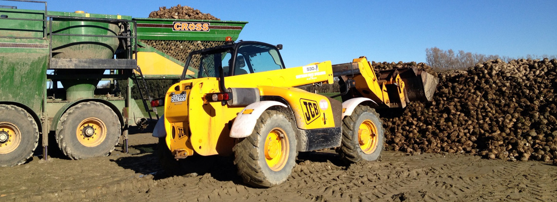 walling-contracting-services-gallery-beet-washing-slider-4