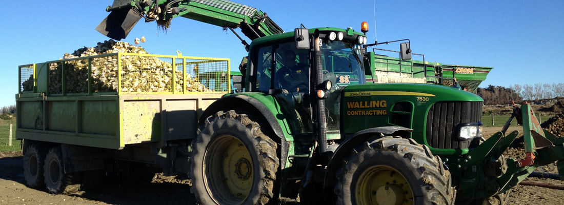 walling-contracting-services-gallery-beet-washing-slider-5