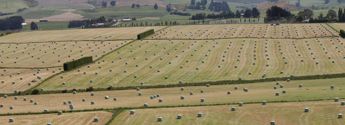 walling-contracting-services-round-baling-slider-3