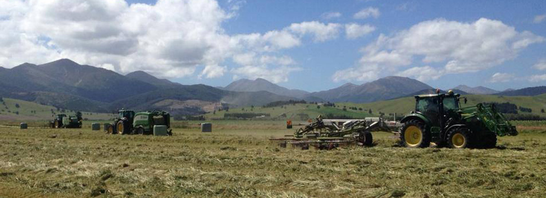 walling-contracting-services-windrowing-slider-1