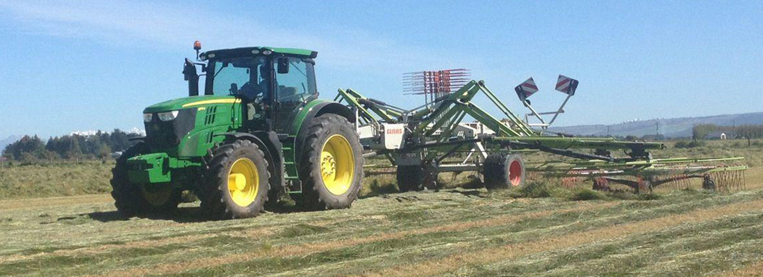 walling-contracting-services-windrowing-slider-2