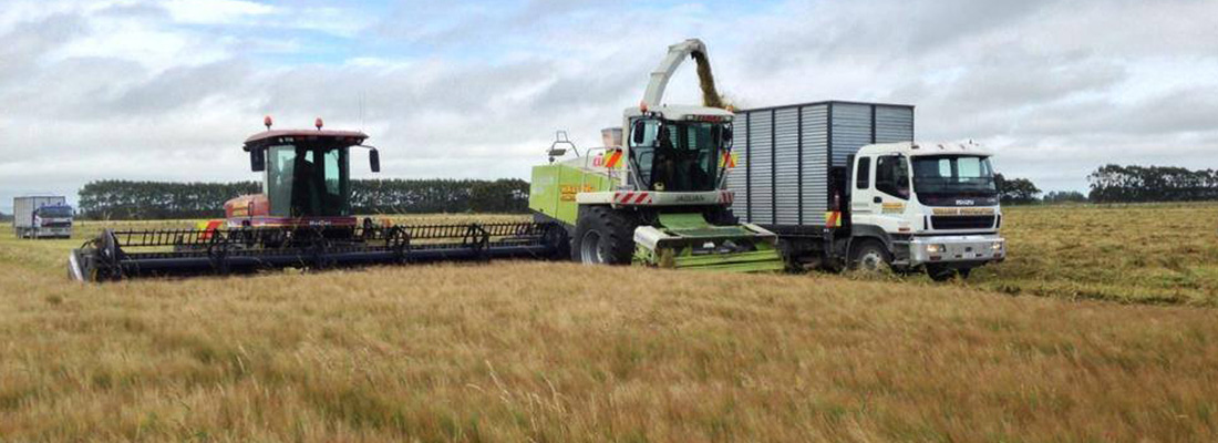 walling-contracting-services-windrowing-slider-3